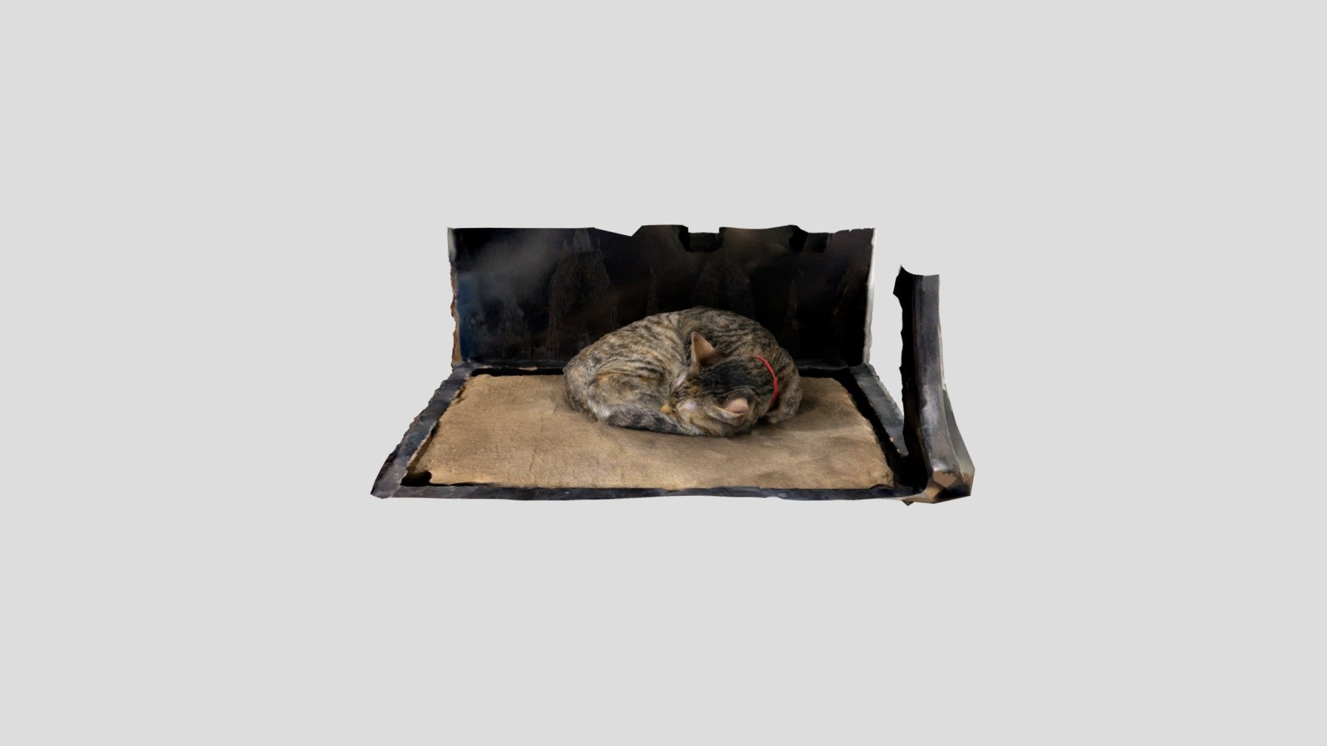 Kitty - Download Free 3D model by thequartermexican [9ef677e] - Sketchfab
