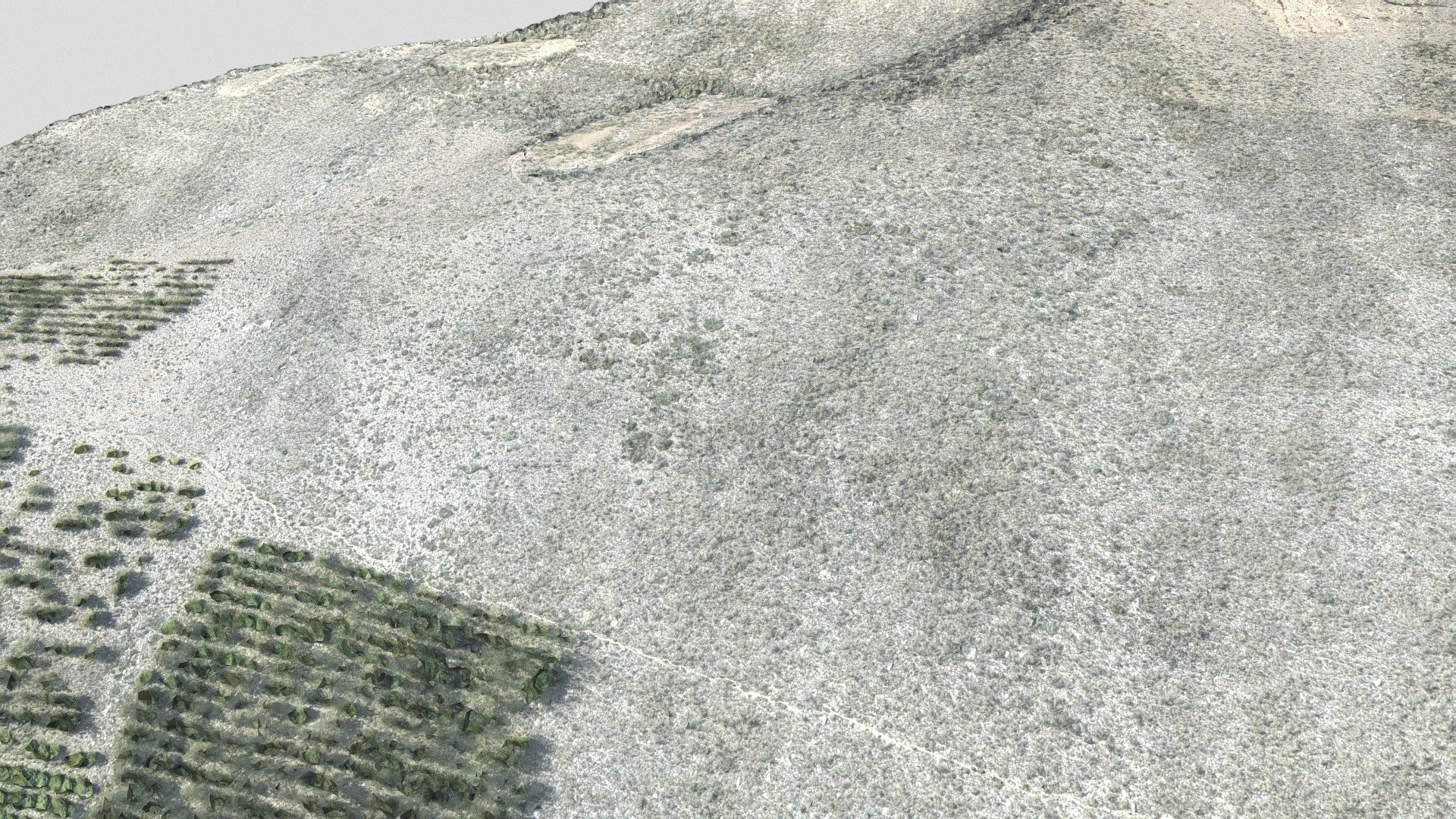 INVERSORES FORESTALES(Reforestando Futuro)