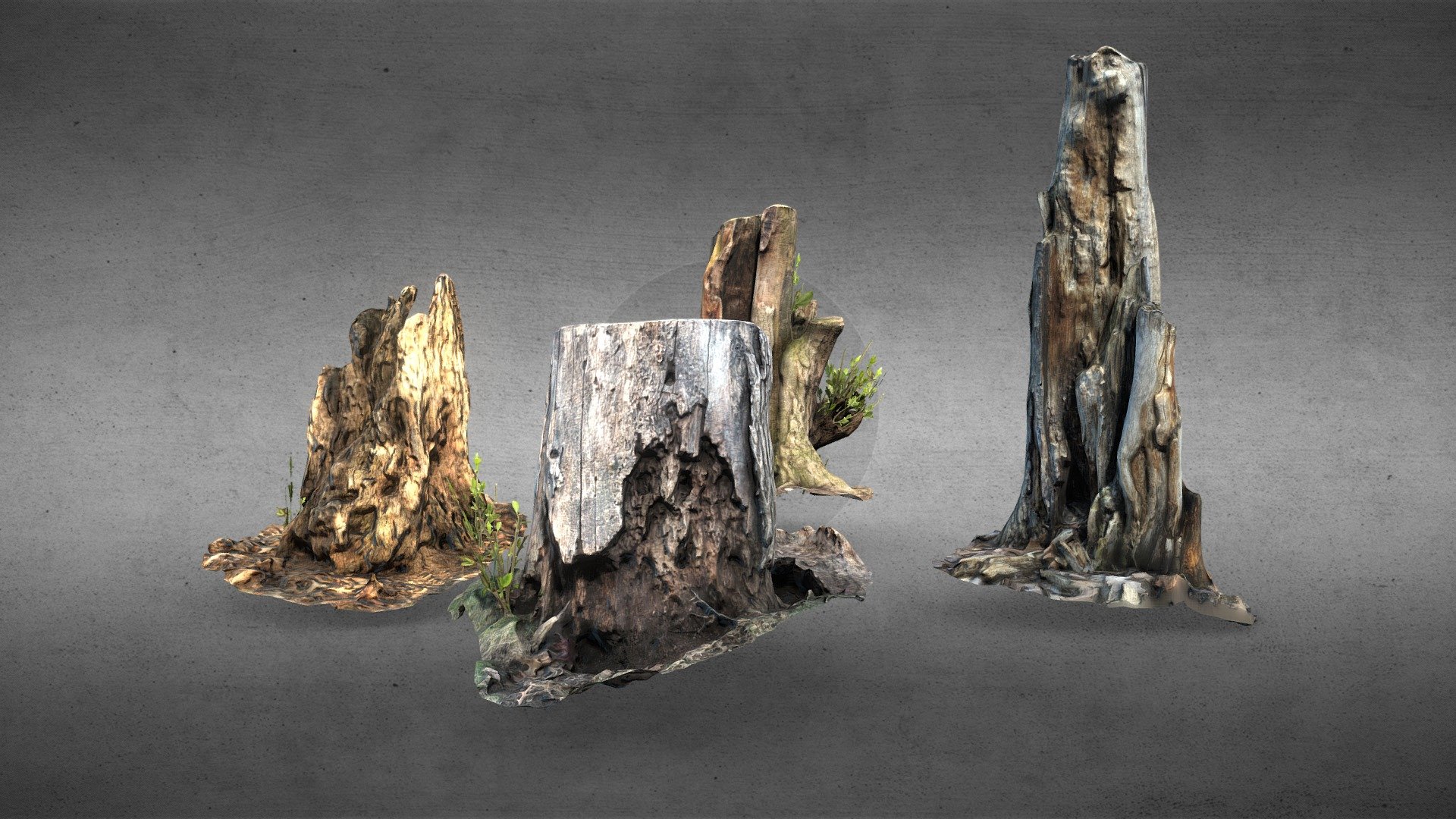 4x Photoscanned tree Stumps, lowpoly - Buy Royalty Free 3D model by ...