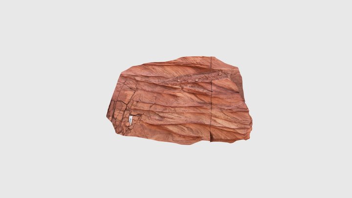 Cross-stratified sandstone Kem Kem Morocco 3 3D Model