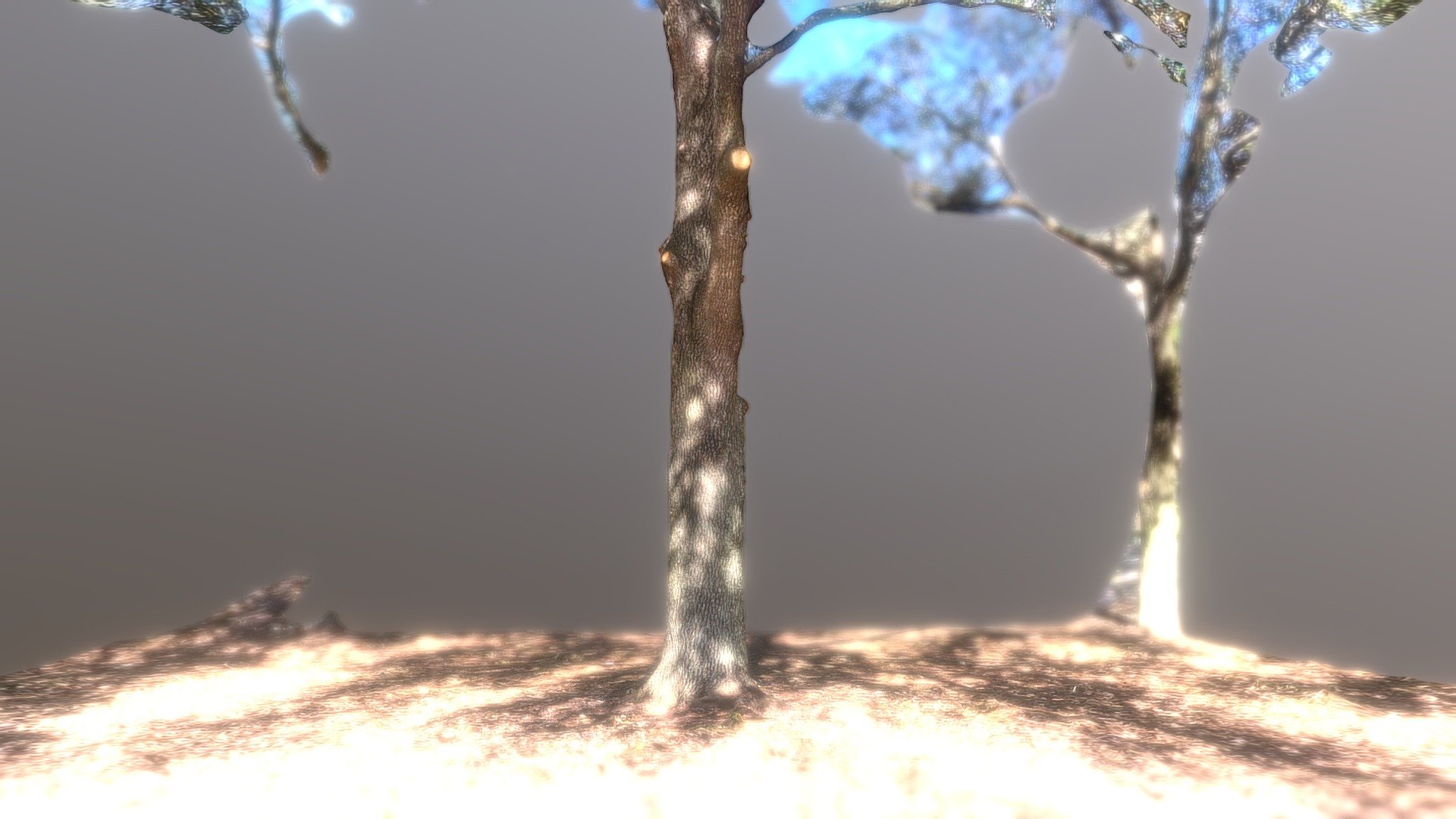 Tree #24 - Download Free 3D model by stevencmutter [9eff181] - Sketchfab