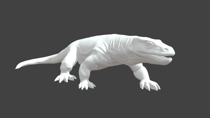 Dragon Lizard 3D Model