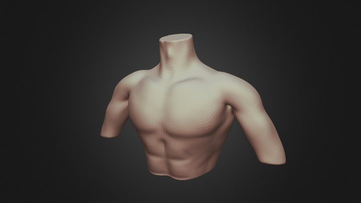 day3 chest (sculpt january 2019 challenge) 3D Model