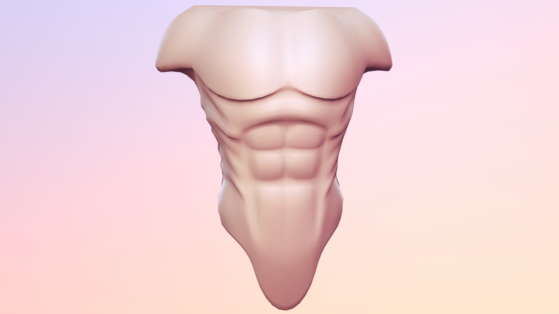male Torso