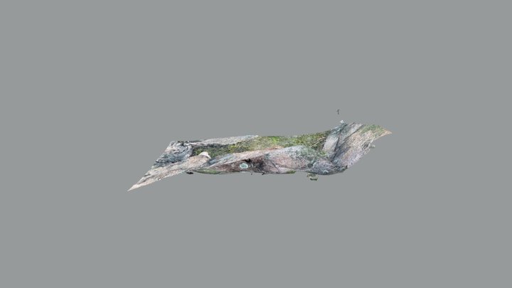 Norwegian Bonfire on rocks 3D Model