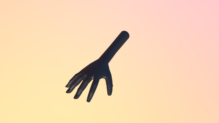 Mano 5 Dedos 3D Model
