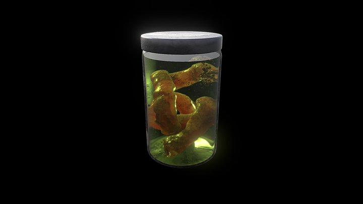 Gut in a jar – Free 3D Model STL