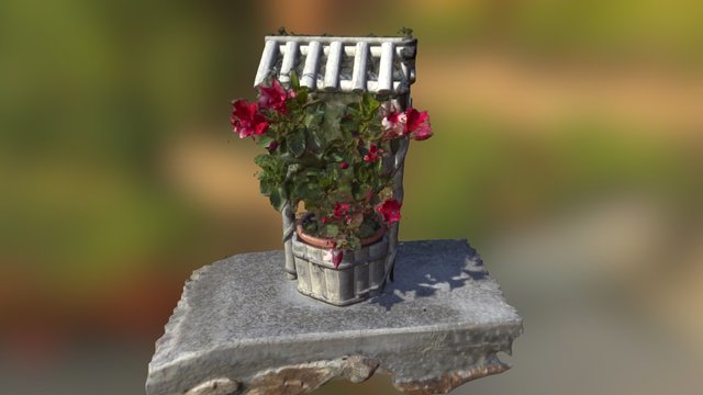 Flower on stone wall 3D Model