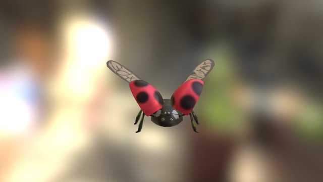 ladybird 3D Model