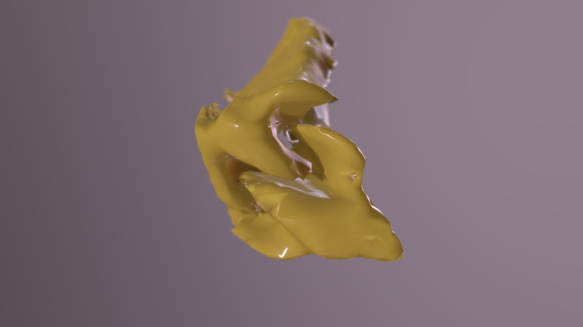 Siphonodella carinata Pa Pair