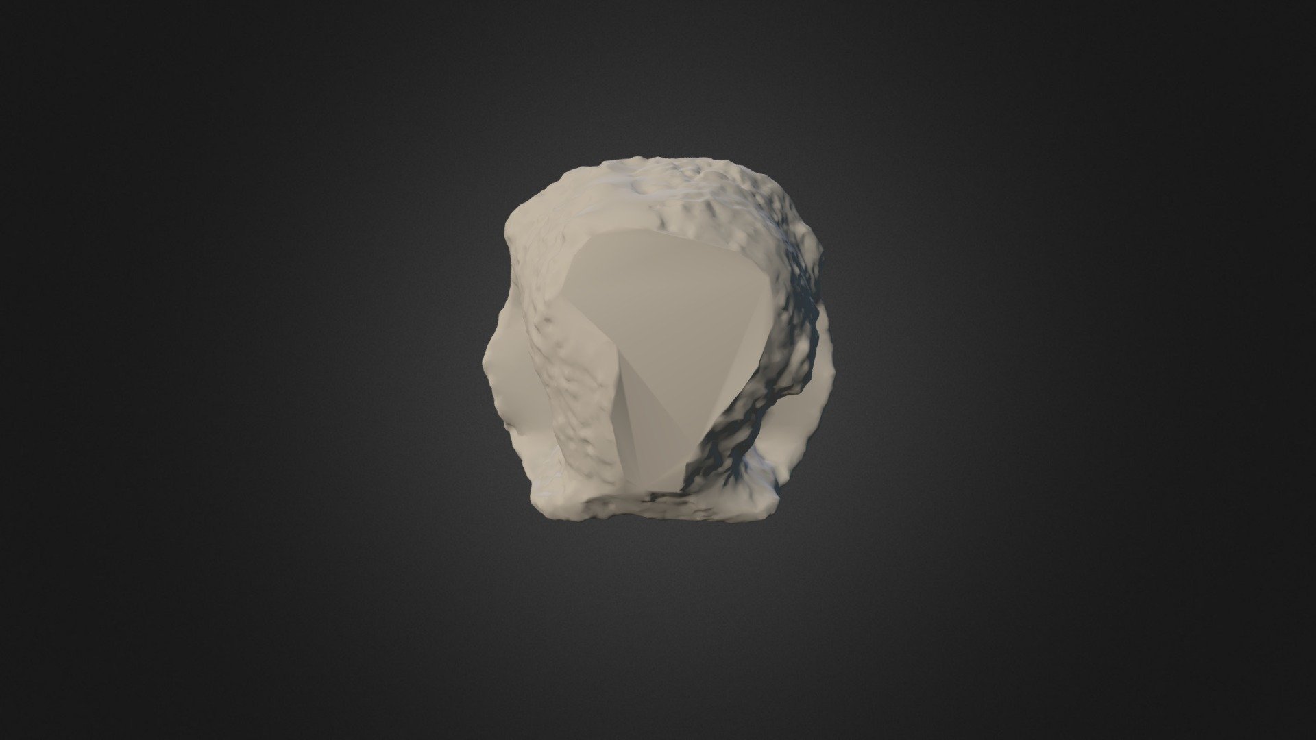 Australopithecus afarensis - male 4