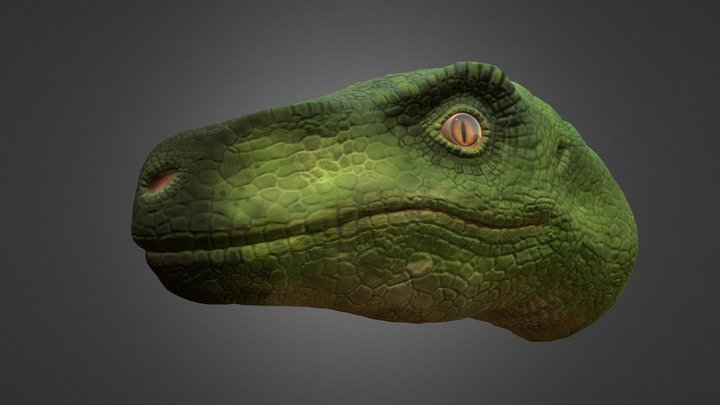 Raptor Head 3D Model