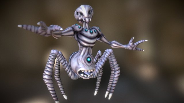 Arachnoid 3D Model