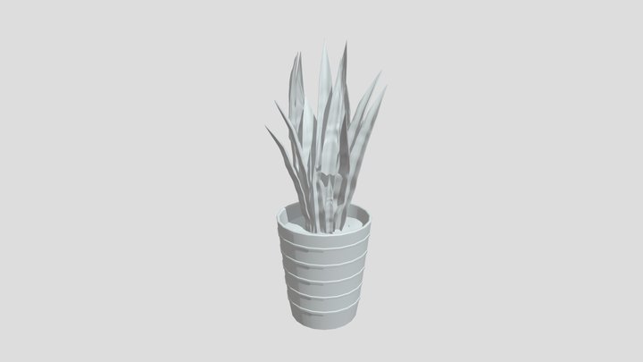 Plant 3D Model