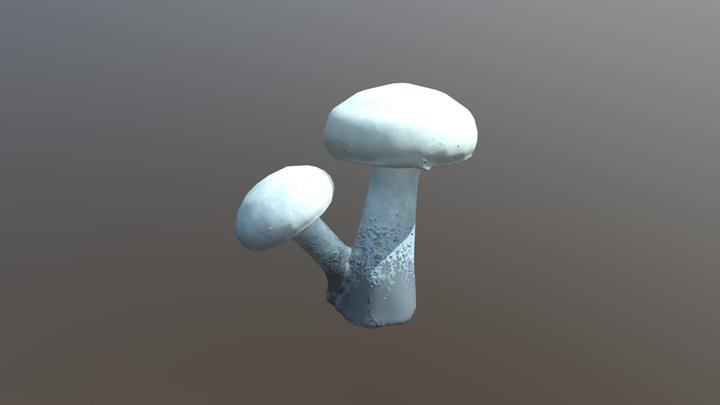 Chryso Mushroom 3D Model