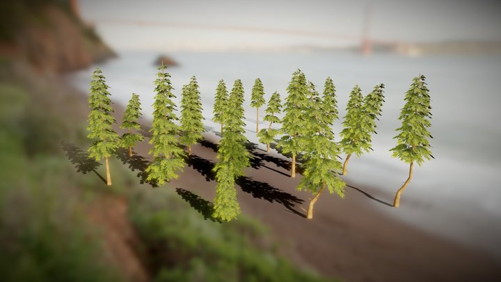 Pine Tree Models Pack 2022 3D Model