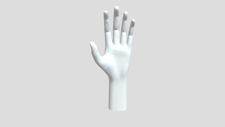 Hand Steegen Yentl High Poly 3D Model