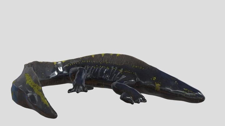unnamed large amphibian