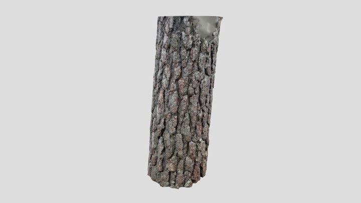 Test Scan 2022-07-10 IPhone 3D Model