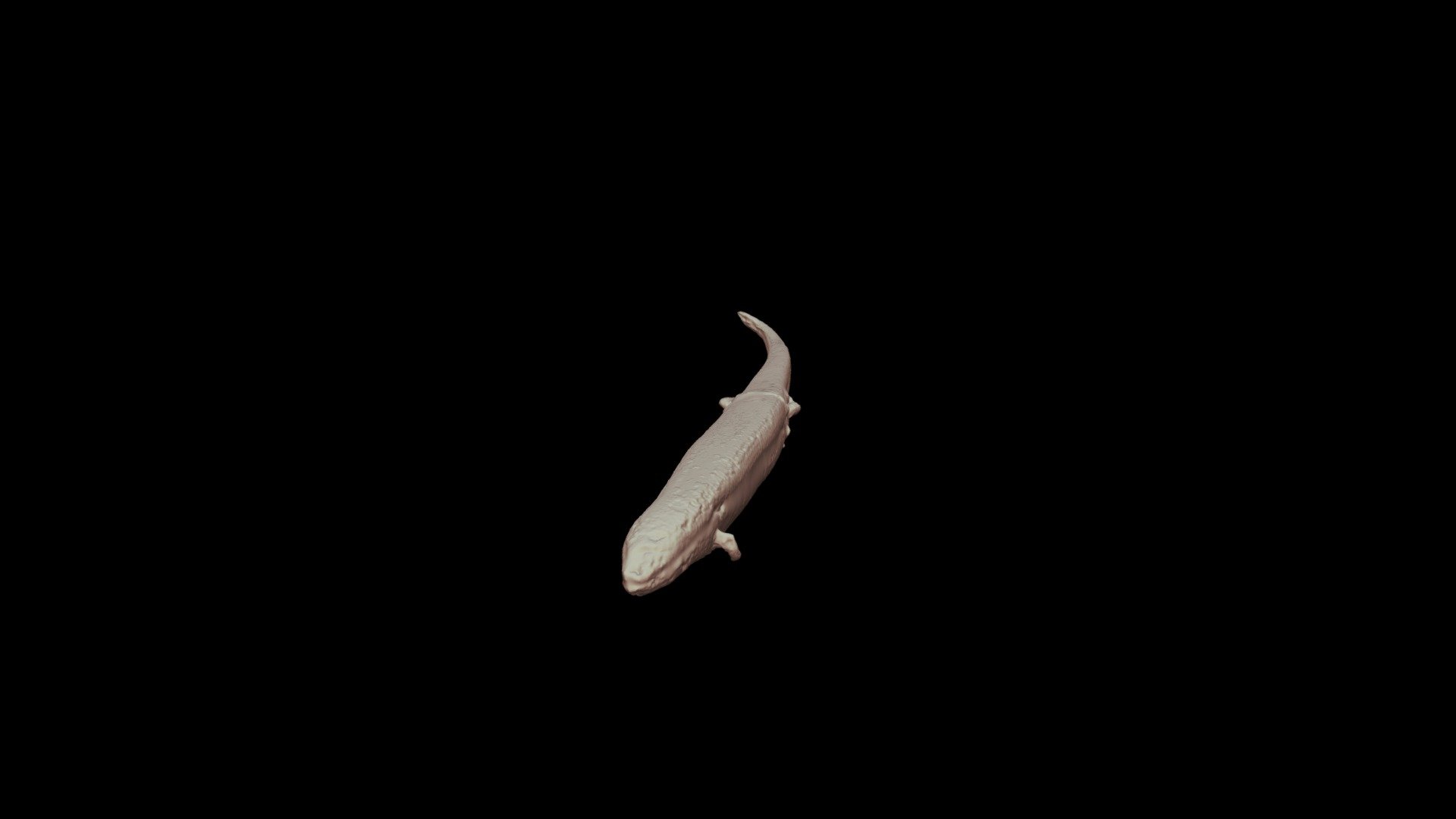 Brachymeles boulengeri