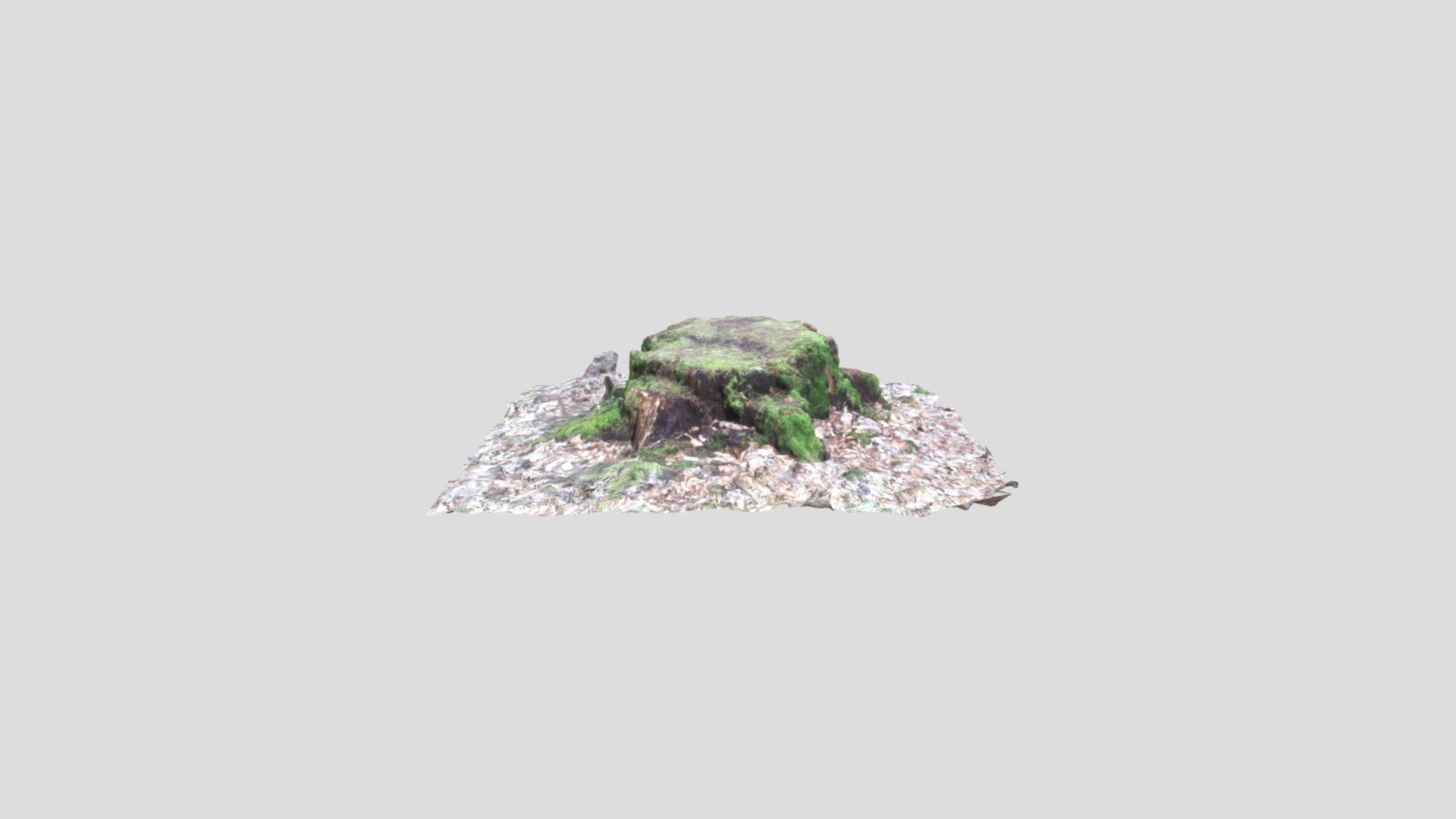 Mossy stump