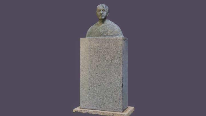 Busto Rajmund Kupareo 3D Model