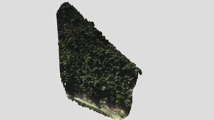 Modelo 3D - Terreno rural em São José - DM