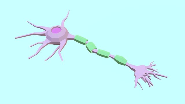 Neuron2 3D Model