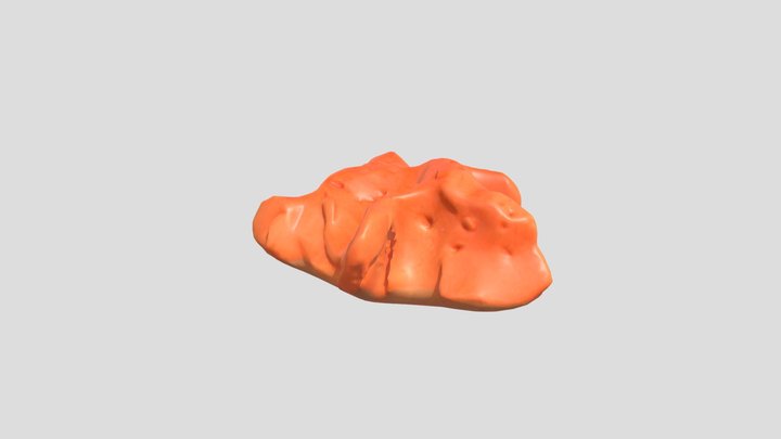 lilac – Modello 3D gratuito STL