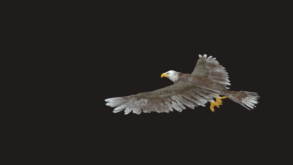 Free Eagle