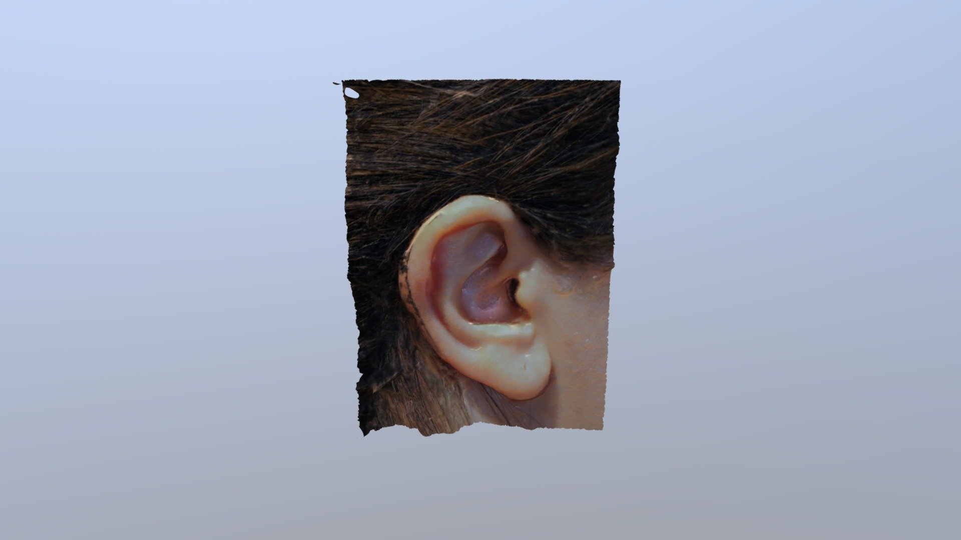 Human Ear