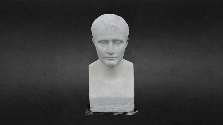 Buste Napoléon 3D Model