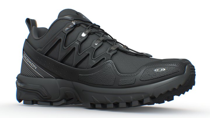 Salomon ACS Shoes 3D Model