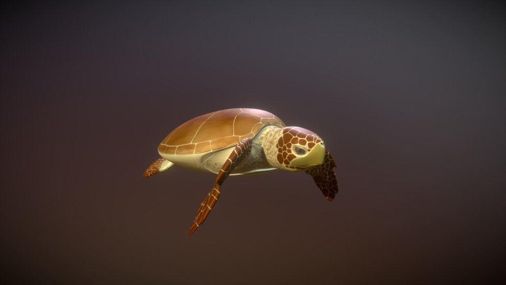 Caretta caretta — Sketchfab embed 3D viewer