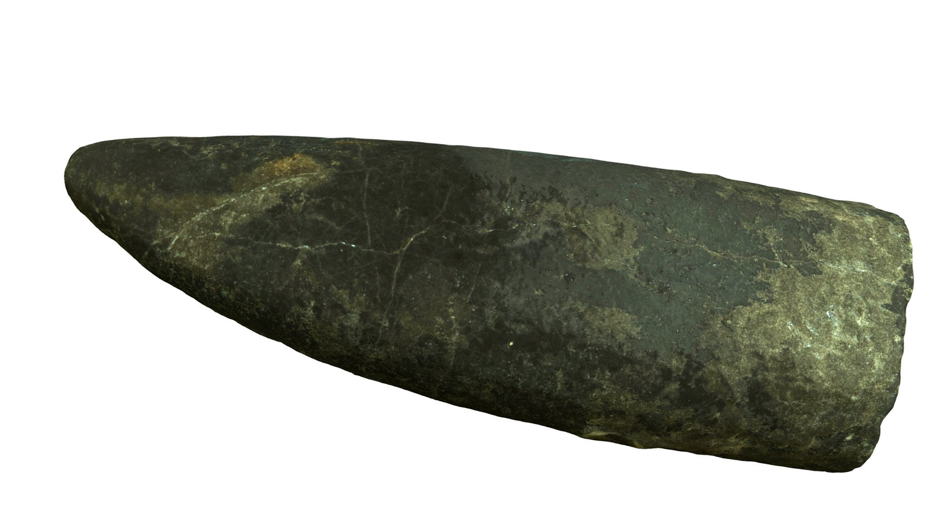 Hyperlioceras subsectum BEL006 - Holotype — Sketchfab embed 3D viewer