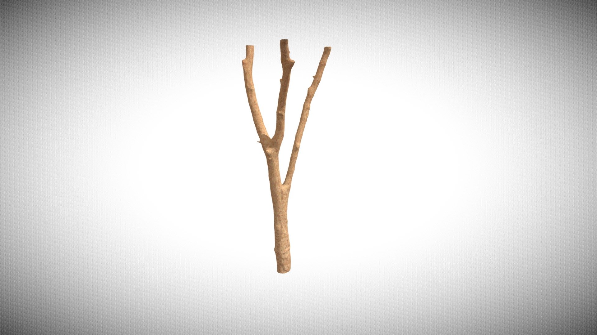 Beauty Tree 3