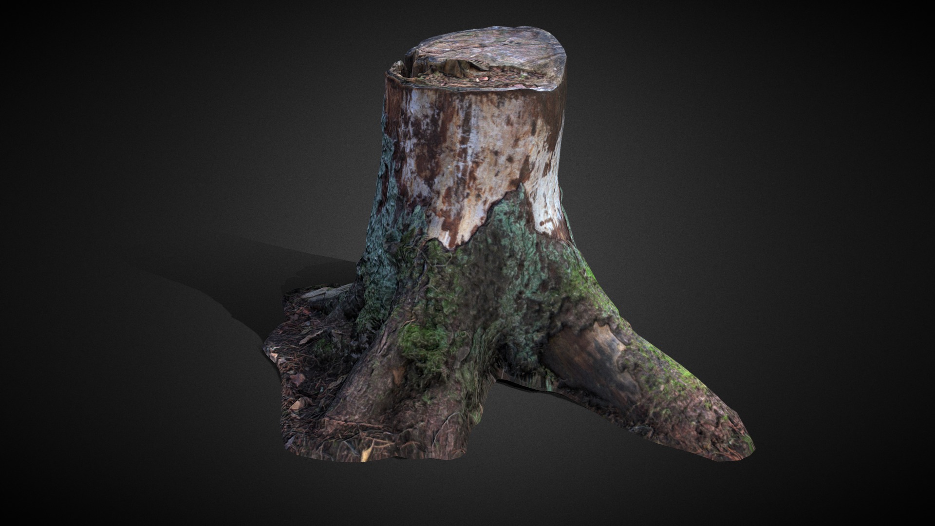 3D model Tree Stump 002a - This is a 3D model of the Tree Stump 002a. The 3D model is about a close-up of a tree stump.