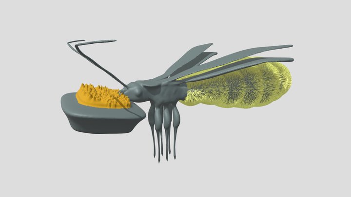 Zombie beetle 3D Model