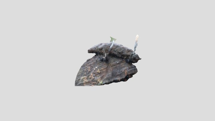 Candle Snuff fungus – Modello 3D gratuito STL