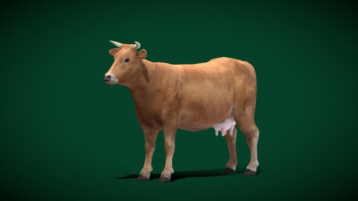 Domestic Cattle Oxen (Lowpoly) 3D Model