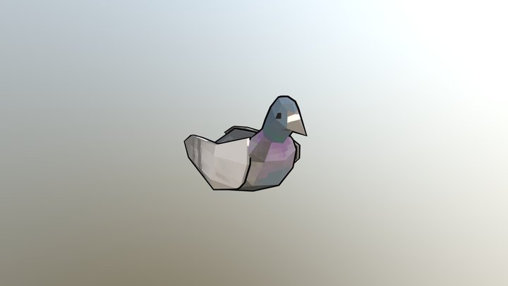 Pigeon 3D Model
