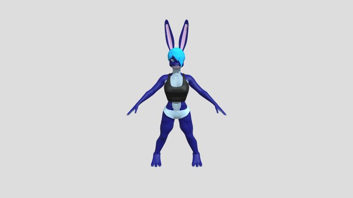Rabbit 3.1 Clothed 3D Model