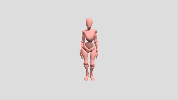 Xbot 3D Model