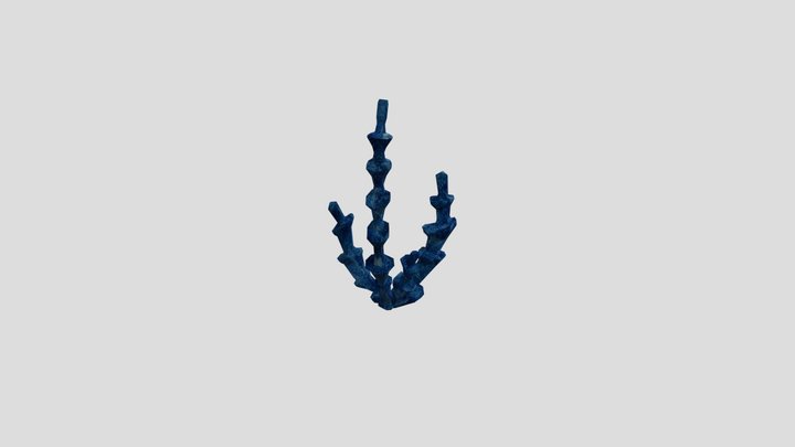 Coral Azul 3D Model