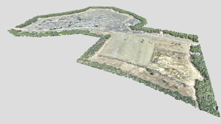 Montecristi_simplified_3d_mesh 3D Model