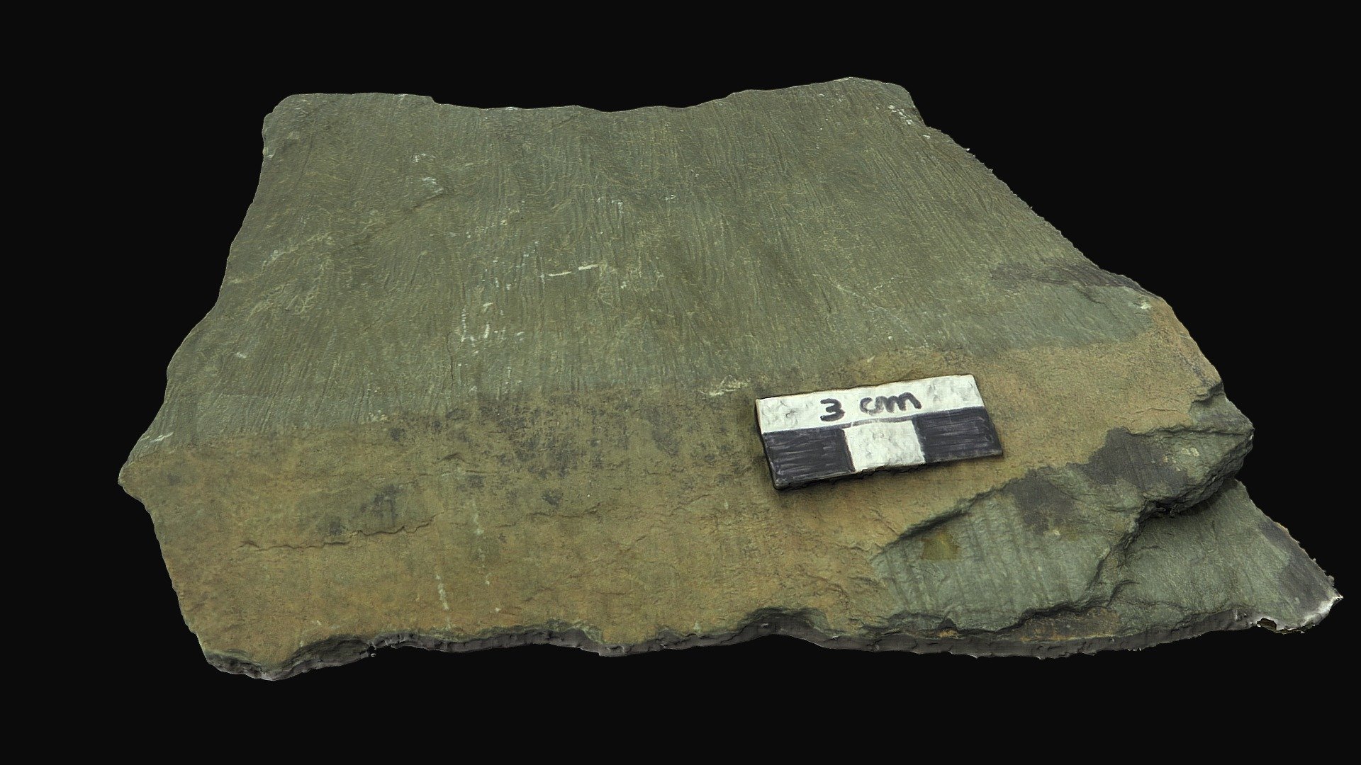 Kink bands and crenulation cleavage, Argentina