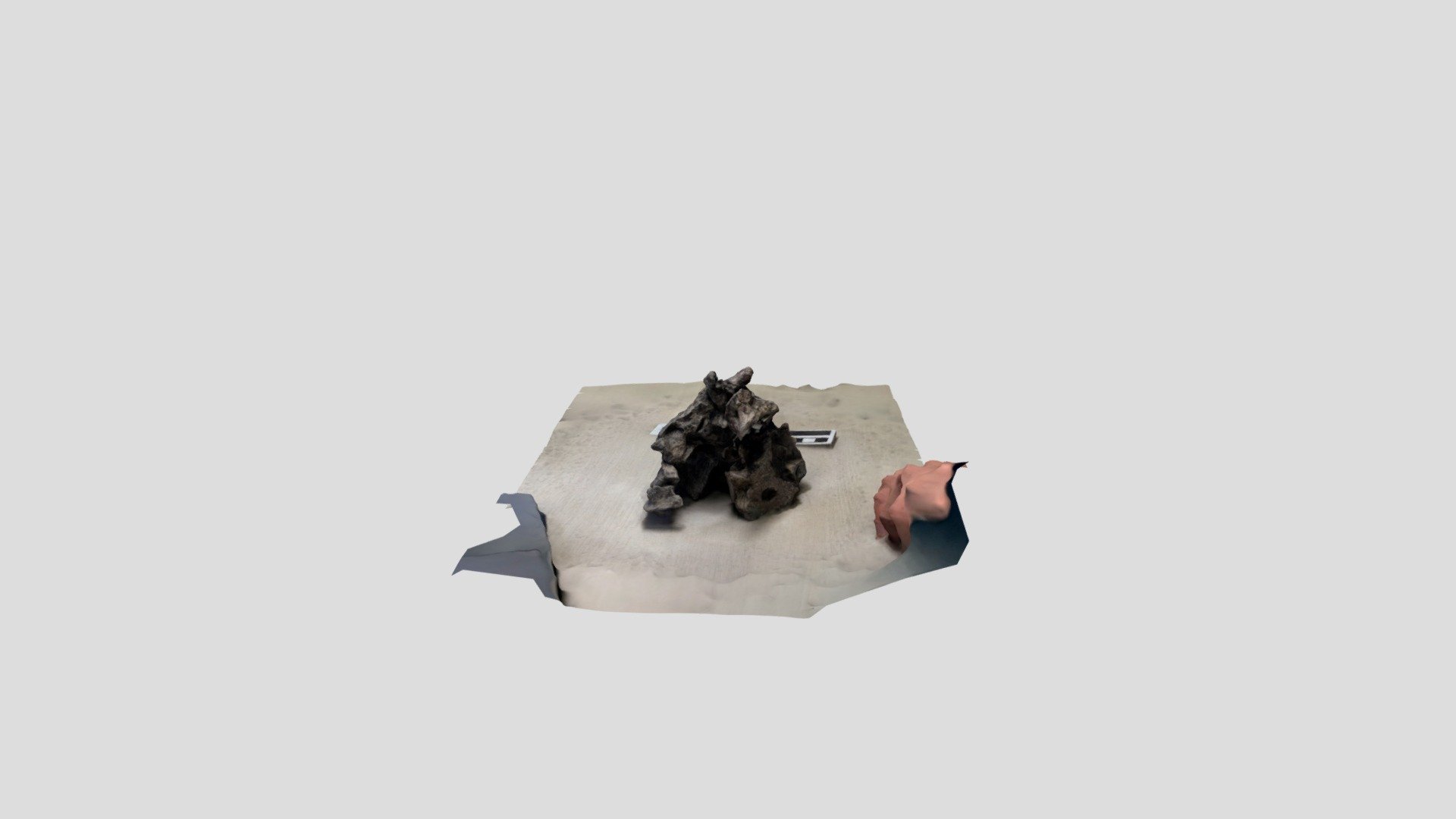 Nipping skull right lateral