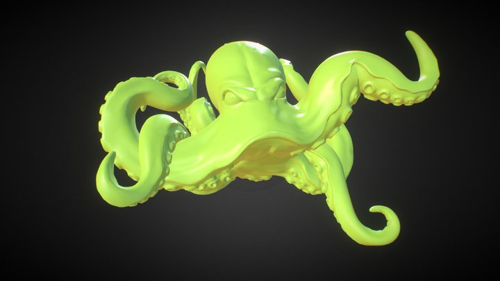 Octopus 3D Model