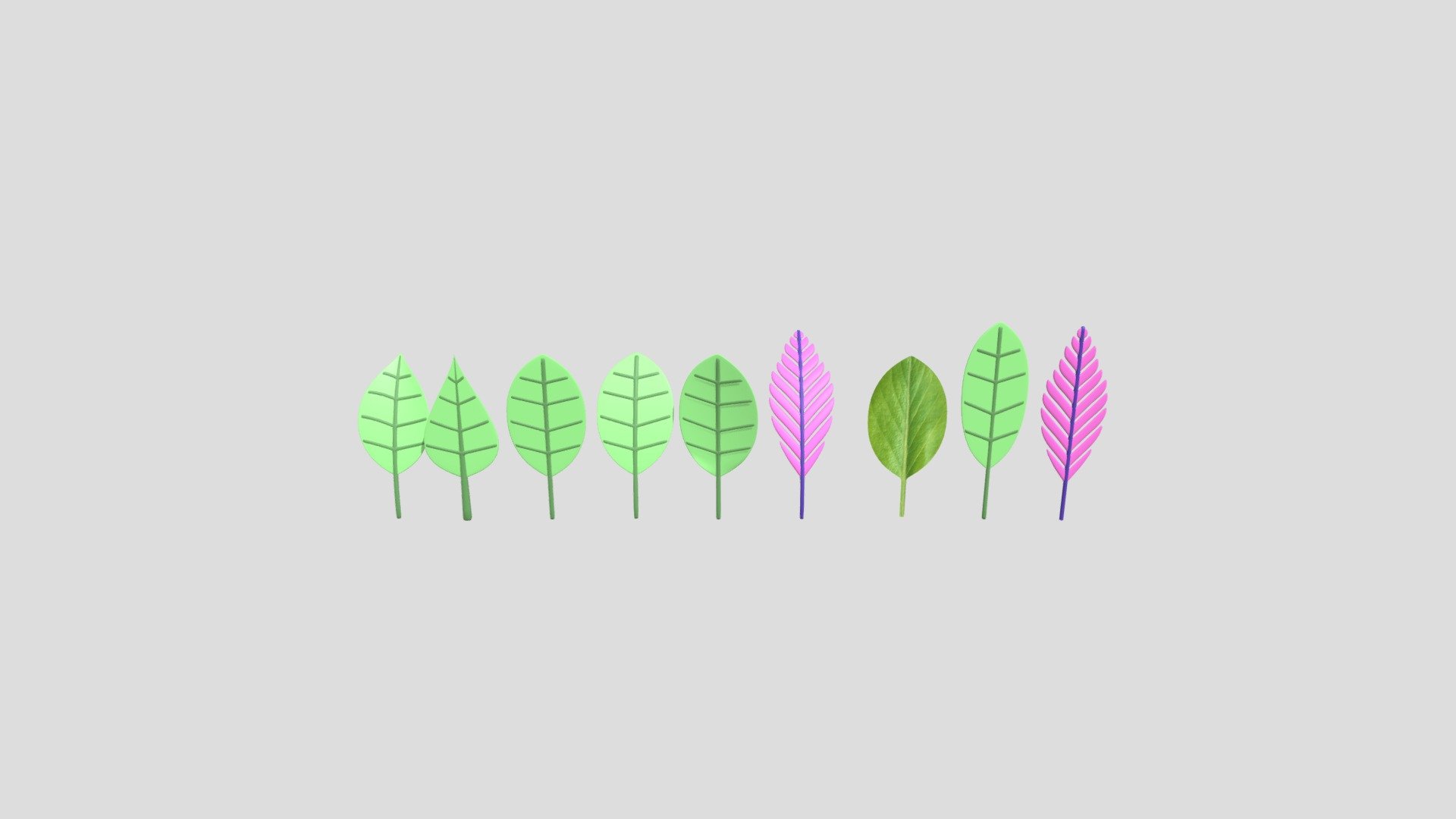 Leaf