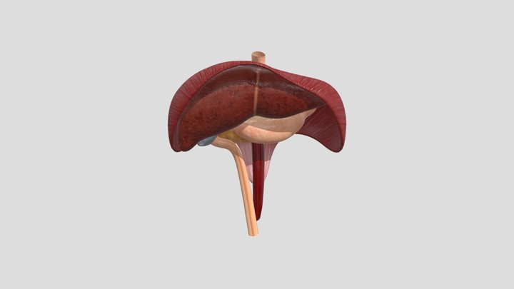 Kiron - Arcade 3D Model